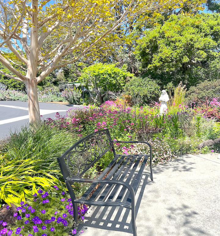 Detail Gallery Image 39 of 39 For 2655 Brommer St #53,  Santa Cruz,  CA 95062 - 3 Beds | 2 Baths