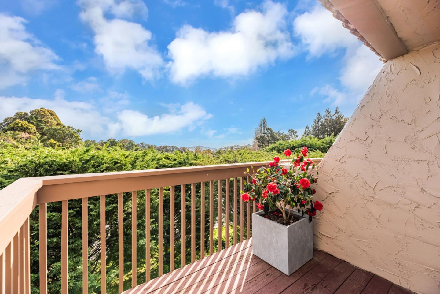 Detail Gallery Image 28 of 33 For 3043 Saint James Rd, Belmont,  CA 94002 - 3 Beds | 2/1 Baths