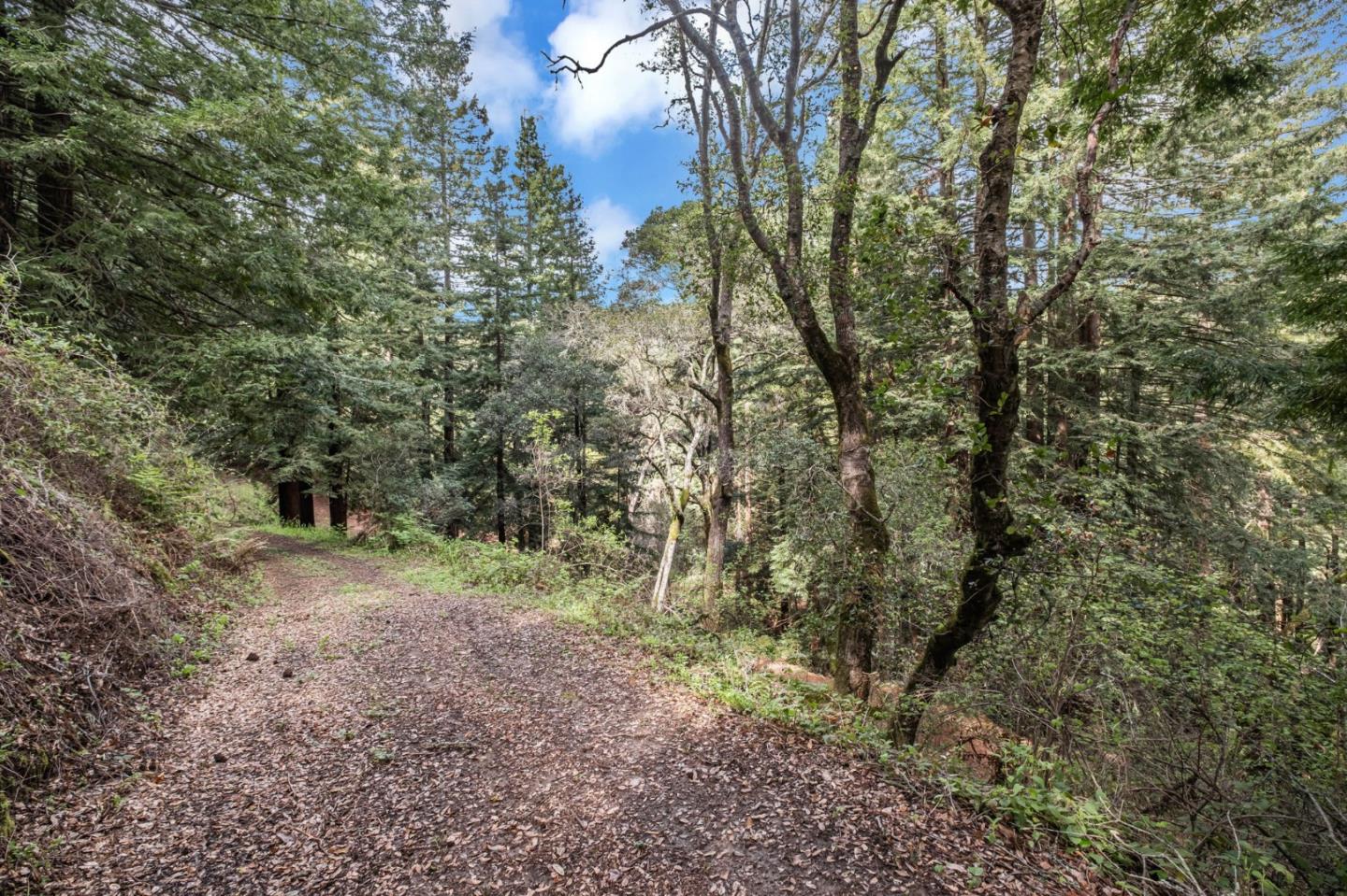 Detail Gallery Image 57 of 71 For 601 Old Hazel Dell Rd, Watsonville,  CA 95076 - 5 Beds | 3/1 Baths