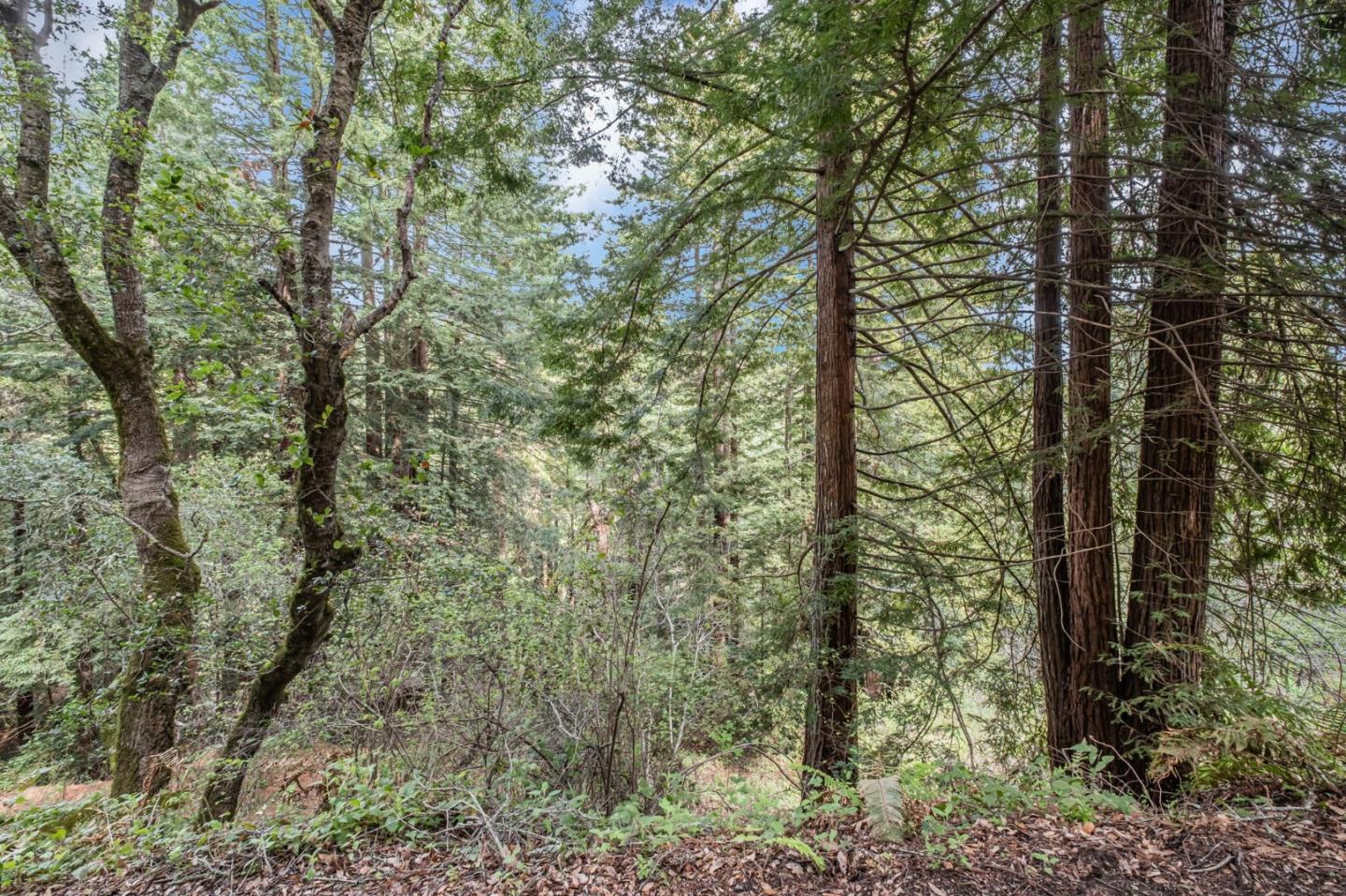 Detail Gallery Image 58 of 71 For 601 Old Hazel Dell Rd, Watsonville,  CA 95076 - 5 Beds | 3/1 Baths