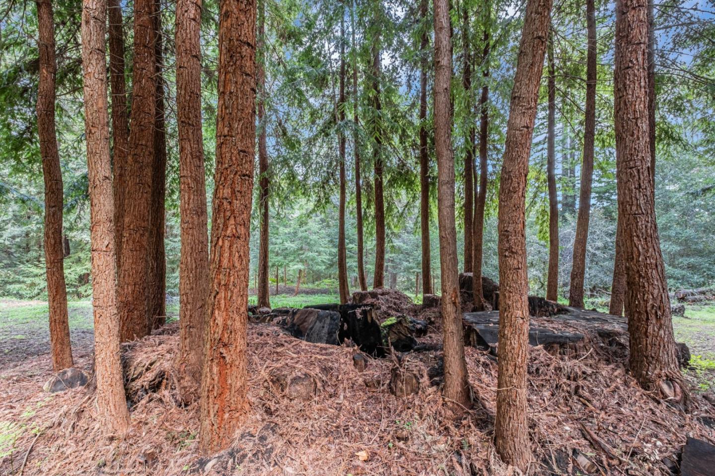 Detail Gallery Image 59 of 71 For 601 Old Hazel Dell Rd, Watsonville,  CA 95076 - 5 Beds | 3/1 Baths