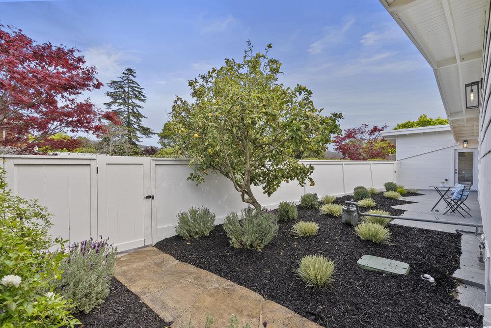 Detail Gallery Image 4 of 53 For 329 San Rafael Ave, Belvedere,  CA 94920 - 3 Beds | 2/1 Baths