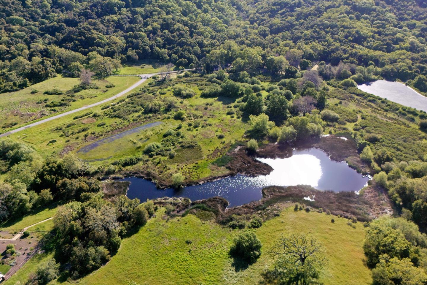 Detail Gallery Image 42 of 42 For 34205 Robinson Canyon Rd, Carmel,  CA 93923 - 6 Beds | 3/1 Baths