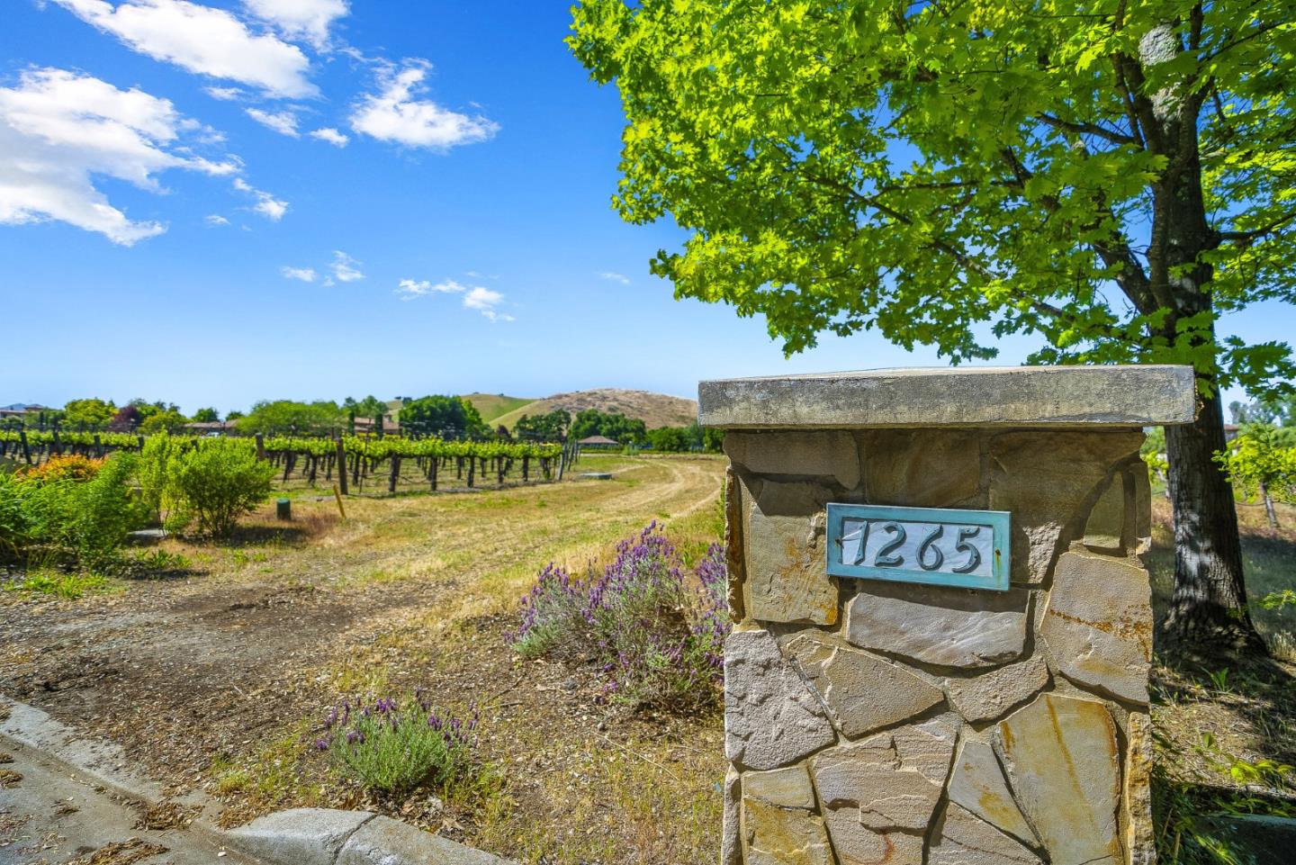 Detail Gallery Image 27 of 39 For 1265 Lions Peak Ln, San Martin,  CA 95046 - – Beds | – Baths
