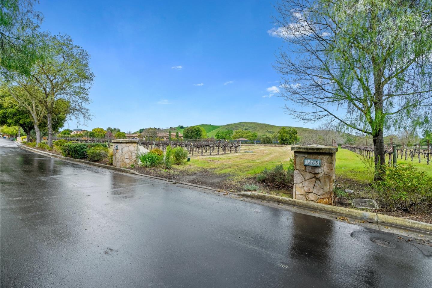 Detail Gallery Image 28 of 39 For 1265 Lions Peak Ln, San Martin,  CA 95046 - – Beds | – Baths