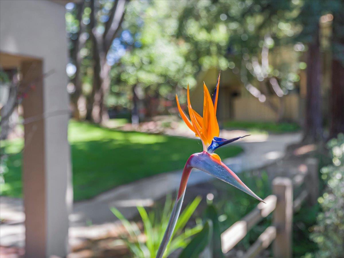 Detail Gallery Image 54 of 54 For 5693 Makati Cir #B,  San Jose,  CA 95123 - 1 Beds | 1 Baths