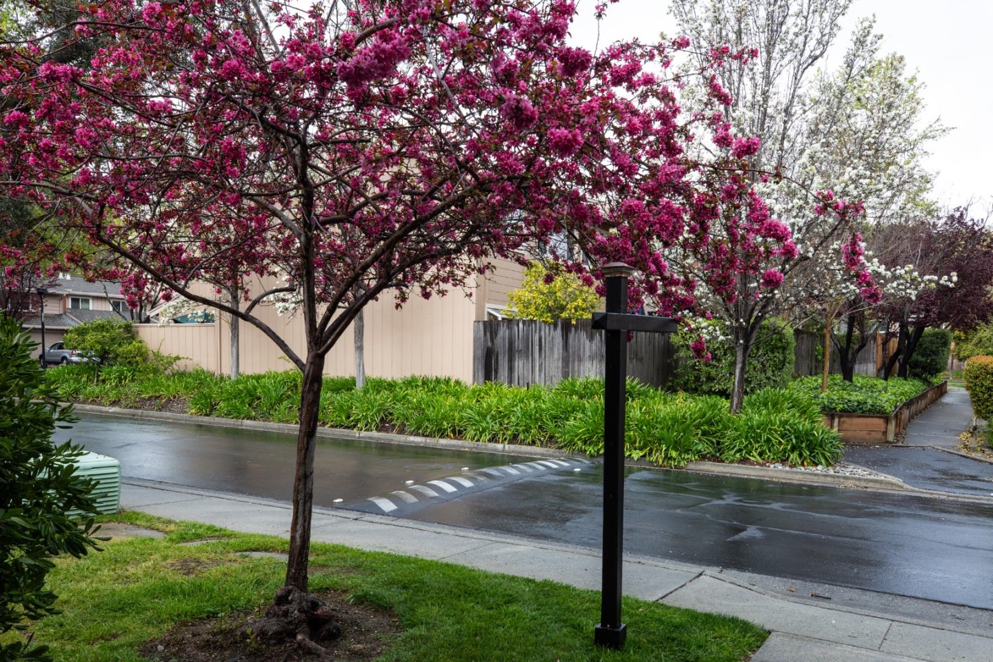 Detail Gallery Image 19 of 19 For 10080 Firwood Dr, Cupertino,  CA 95014 - 2 Beds | 2 Baths