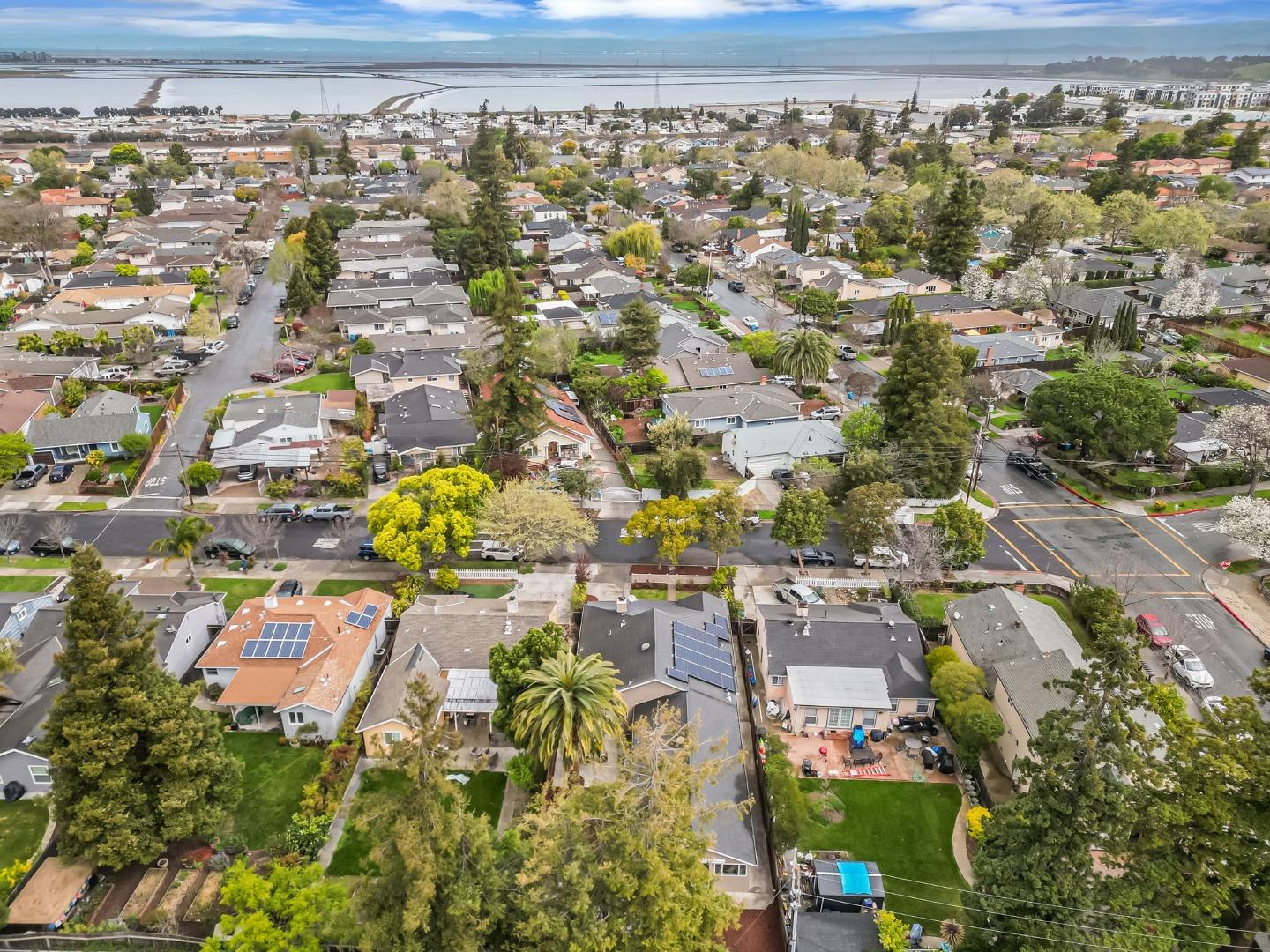 Detail Gallery Image 79 of 86 For 3350 Page St, Redwood City,  CA 94063 - 4 Beds | 4 Baths
