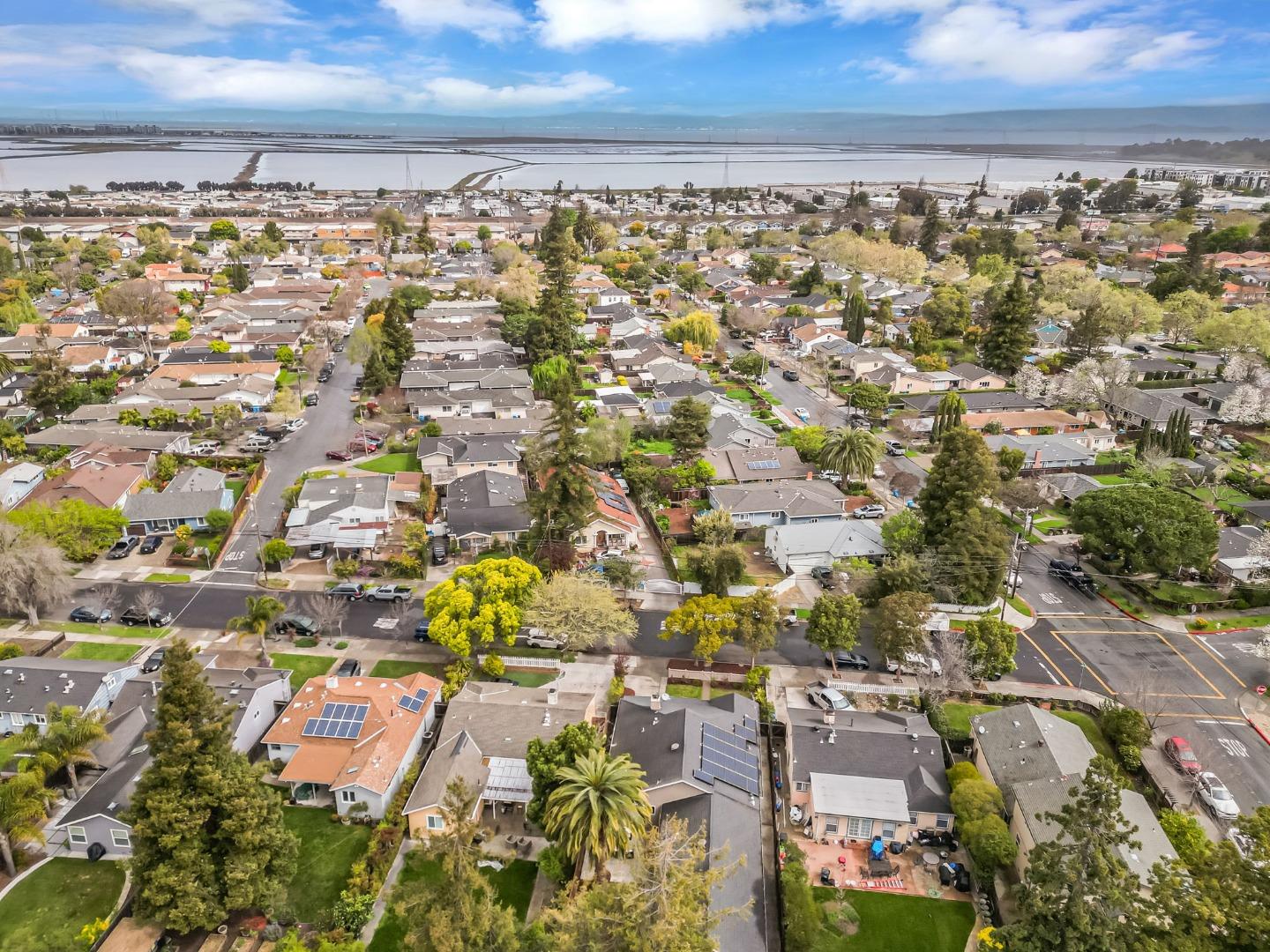 Detail Gallery Image 83 of 86 For 3350 Page St, Redwood City,  CA 94063 - 4 Beds | 4 Baths