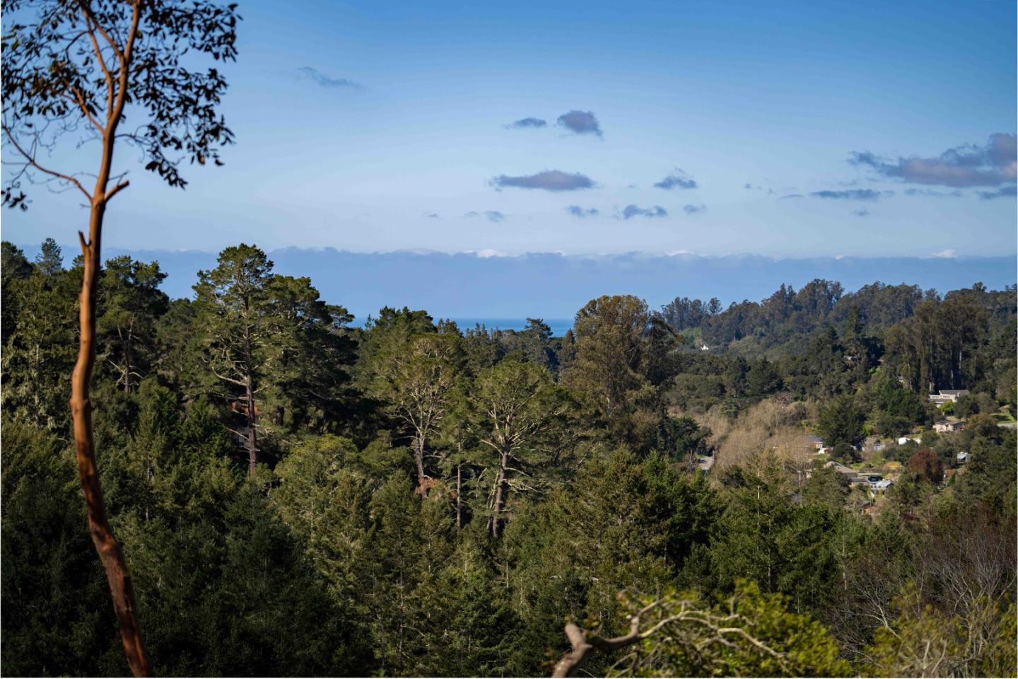 Detail Gallery Image 61 of 73 For 407 Quail Run, Aptos,  CA 95003 - 3 Beds | 2/1 Baths