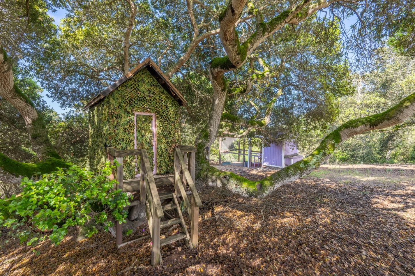 Detail Gallery Image 14 of 52 For 378 Crazy Horse Canyon Road, Salinas,  CA 93907 - 4 Beds | 3/1 Baths