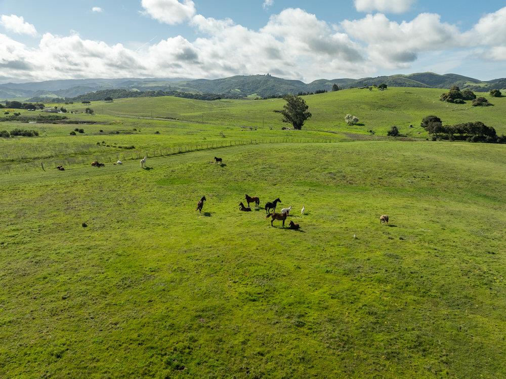Detail Gallery Image 15 of 30 For 600 Rocks Rd, San Juan Bautista,  CA 95045 - 2 Beds | 2 Baths