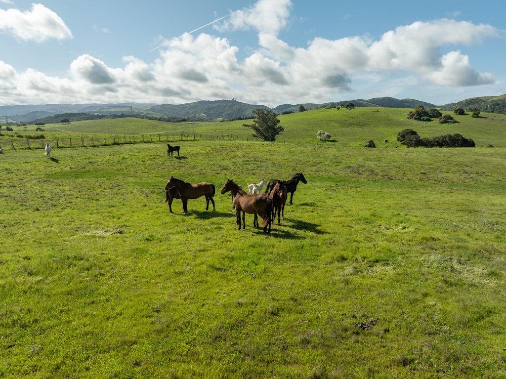 Detail Gallery Image 16 of 30 For 600 Rocks Rd, San Juan Bautista,  CA 95045 - 2 Beds | 2 Baths