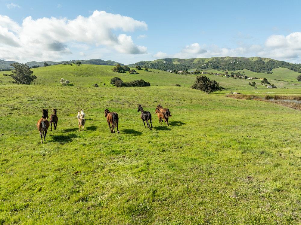 Detail Gallery Image 18 of 30 For 600 Rocks Rd, San Juan Bautista,  CA 95045 - 2 Beds | 2 Baths