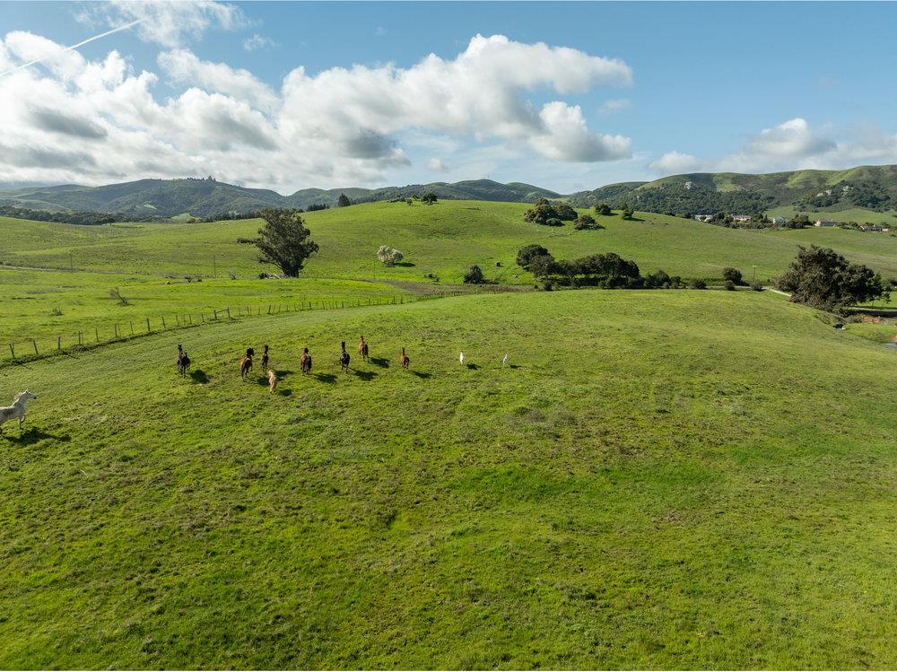 Detail Gallery Image 19 of 30 For 600 Rocks Rd, San Juan Bautista,  CA 95045 - 2 Beds | 2 Baths