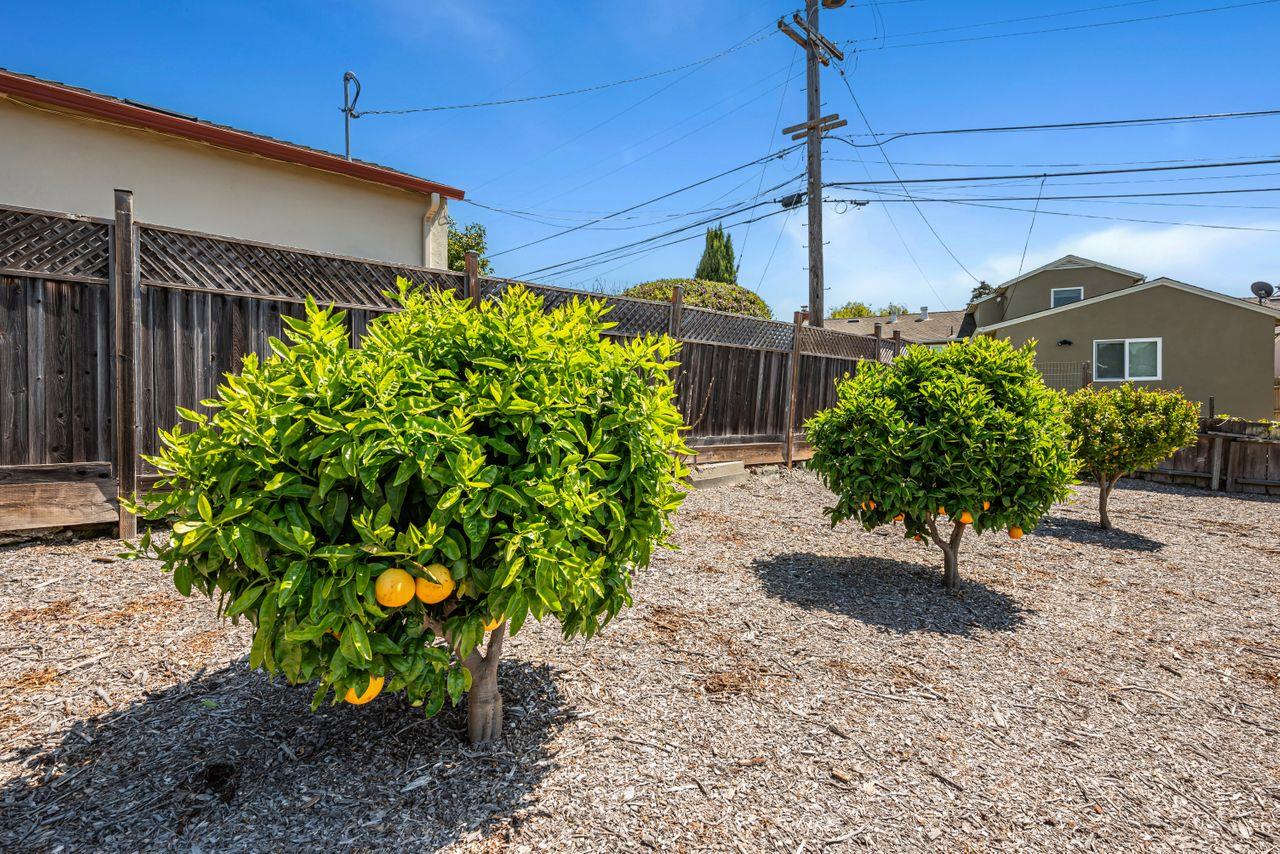Detail Gallery Image 34 of 35 For 1141 Kains Ave, San Bruno,  CA 94066 - 2 Beds | 1 Baths