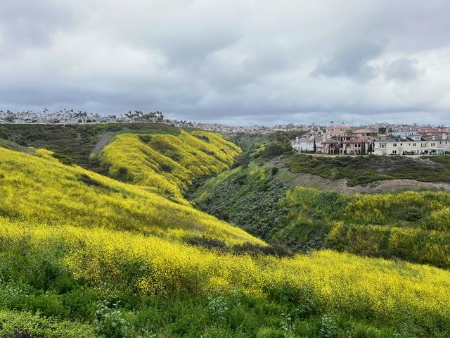 Detail Gallery Image 2 of 23 For 4 Amherst, Laguna Niguel,  CA 92677 - 3 Beds | 2/1 Baths