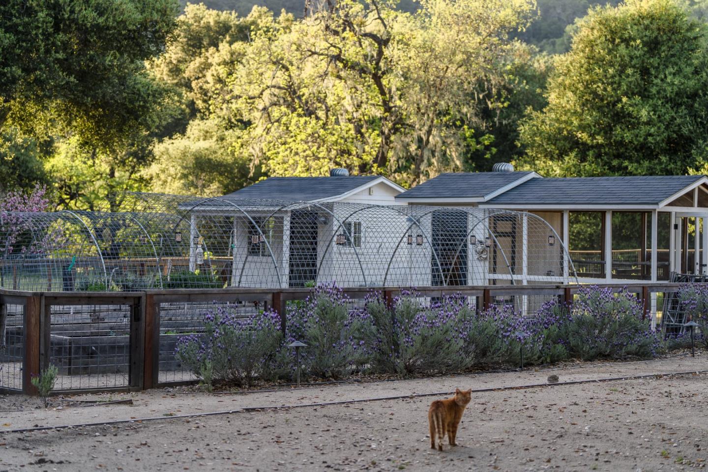 Detail Gallery Image 57 of 74 For 10555 Watsonville Rd, Gilroy,  CA 95020 - 4 Beds | 3/1 Baths