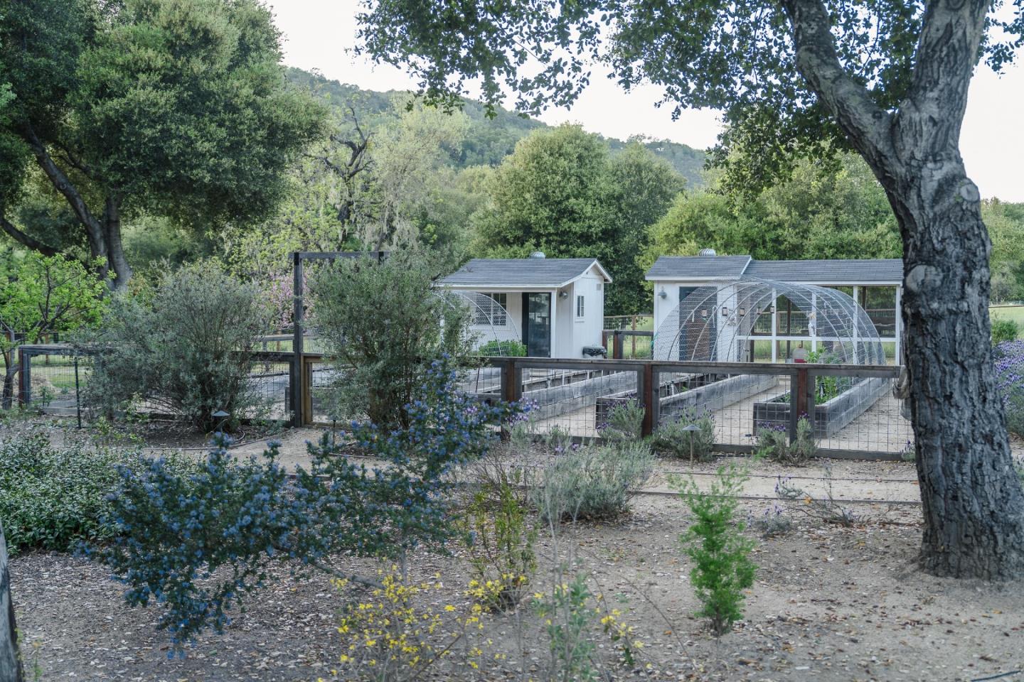 Detail Gallery Image 60 of 74 For 10555 Watsonville Rd, Gilroy,  CA 95020 - 4 Beds | 3/1 Baths