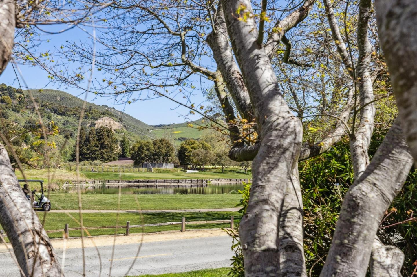 Detail Gallery Image 31 of 42 For 9504 Alder Ct, Carmel,  CA 93923 - 3 Beds | 3 Baths