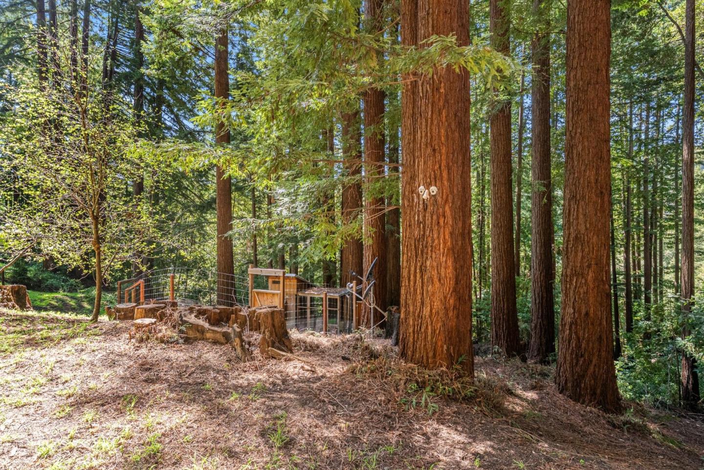 Detail Gallery Image 50 of 55 For 16306 Redwood Lodge Rd, Los Gatos,  CA 95033 - 3 Beds | 2 Baths