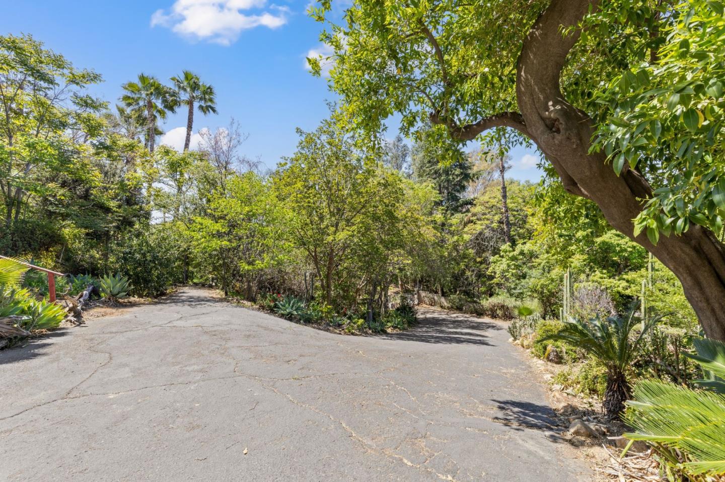 Detail Gallery Image 24 of 25 For 3023 Central Ave, Riverside,  CA 92506 - 3 Beds | 2 Baths