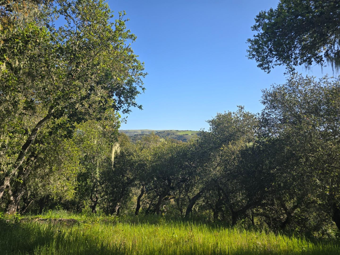 Detail Gallery Image 12 of 28 For 16 Sleepy Hollow Drive, Carmel Valley,  CA 93924 - – Beds | – Baths