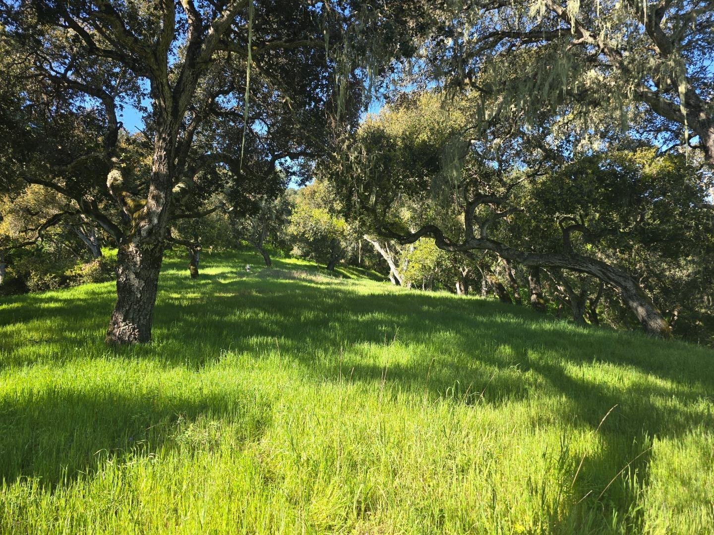 Detail Gallery Image 13 of 28 For 16 Sleepy Hollow Drive, Carmel Valley,  CA 93924 - – Beds | – Baths