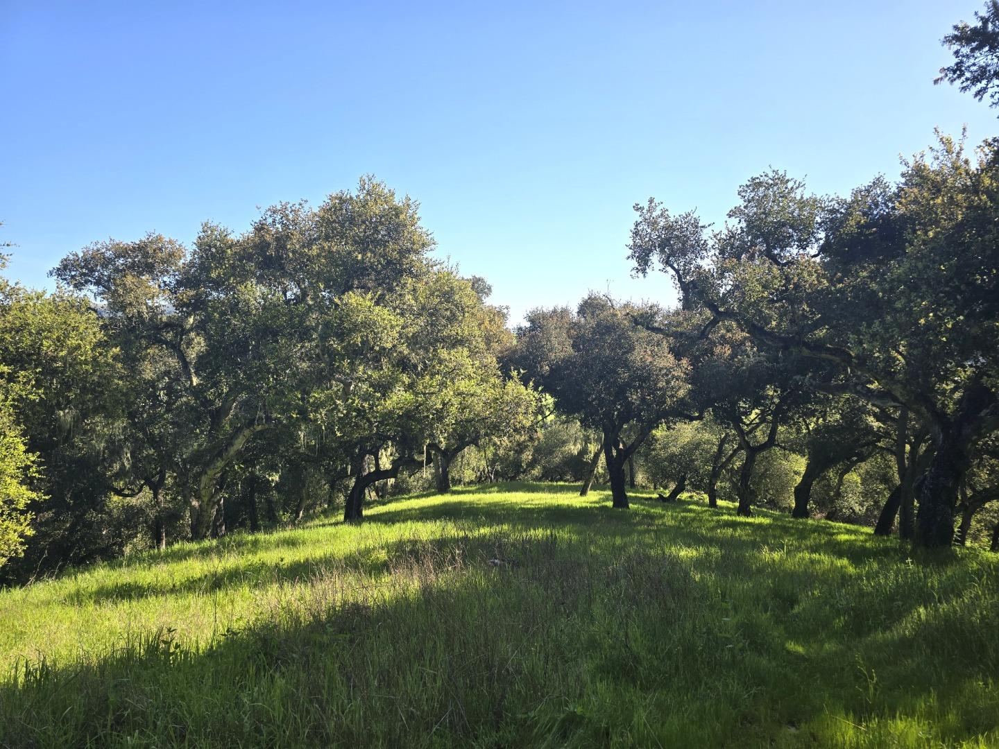 Detail Gallery Image 14 of 28 For 16 Sleepy Hollow Drive, Carmel Valley,  CA 93924 - – Beds | – Baths