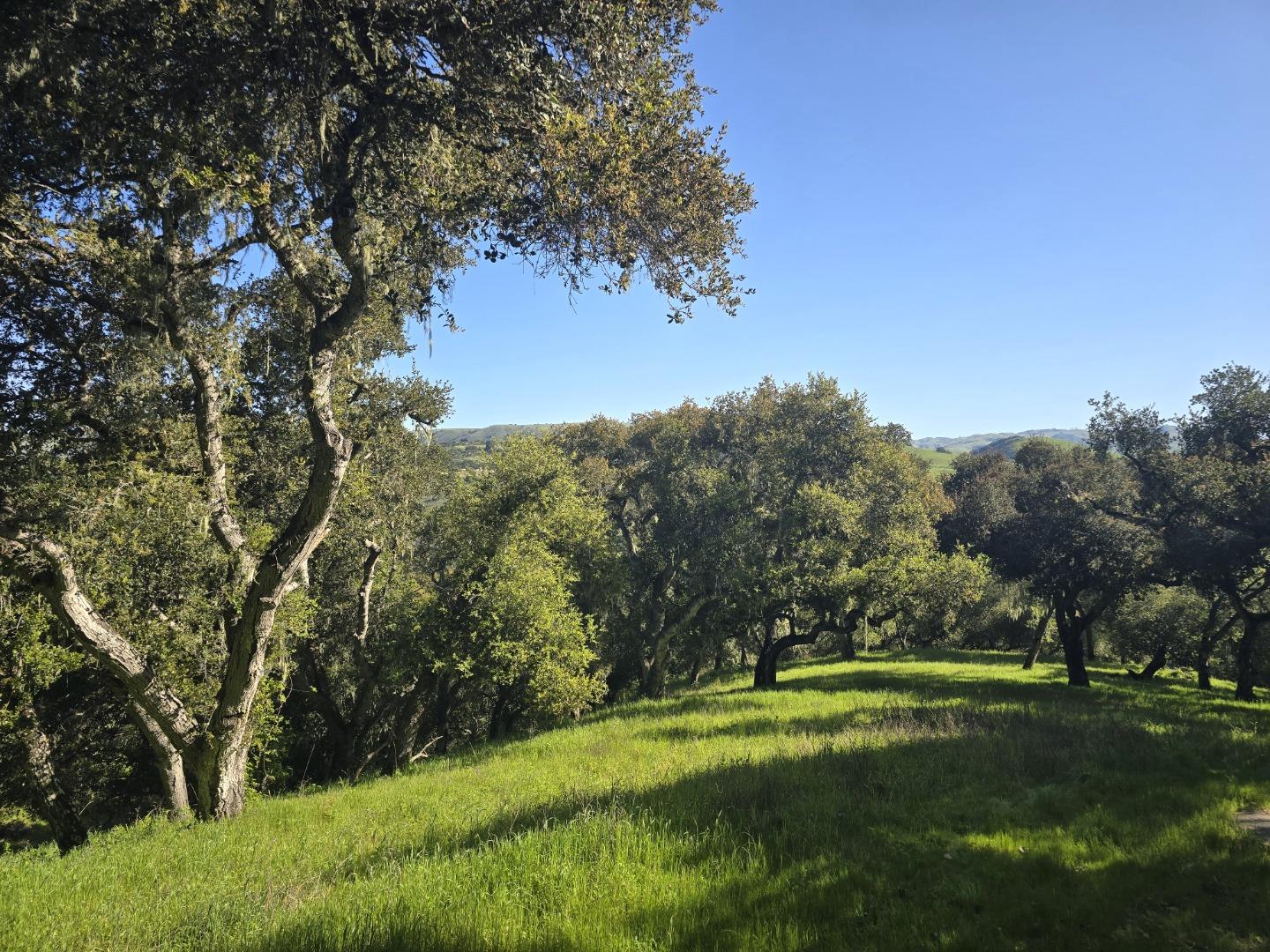 Detail Gallery Image 16 of 28 For 16 Sleepy Hollow Drive, Carmel Valley,  CA 93924 - – Beds | – Baths