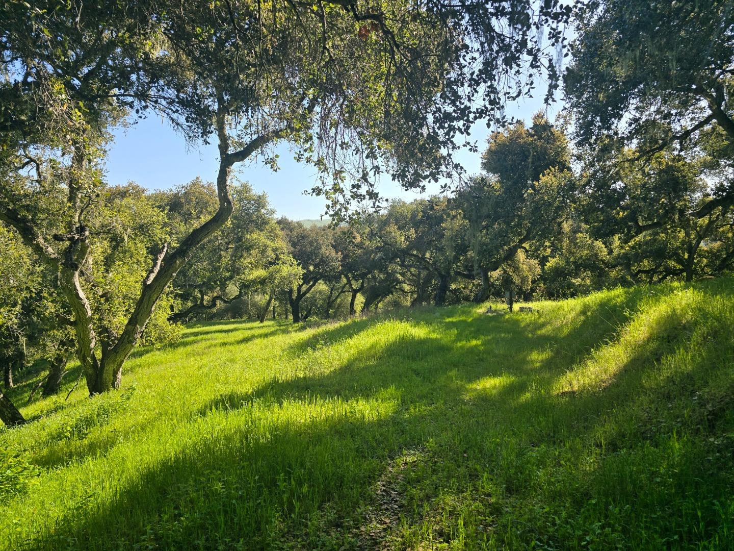 Detail Gallery Image 17 of 28 For 16 Sleepy Hollow Drive, Carmel Valley,  CA 93924 - – Beds | – Baths