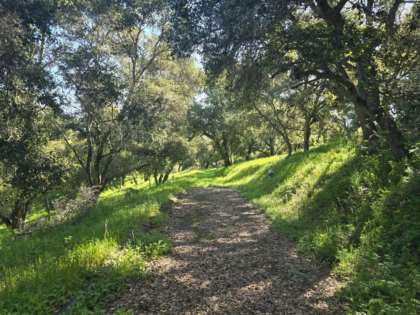Detail Gallery Image 19 of 28 For 16 Sleepy Hollow Drive, Carmel Valley,  CA 93924 - – Beds | – Baths