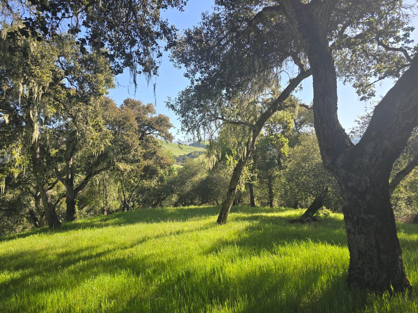 Detail Gallery Image 2 of 28 For 16 Sleepy Hollow Drive, Carmel Valley,  CA 93924 - – Beds | – Baths