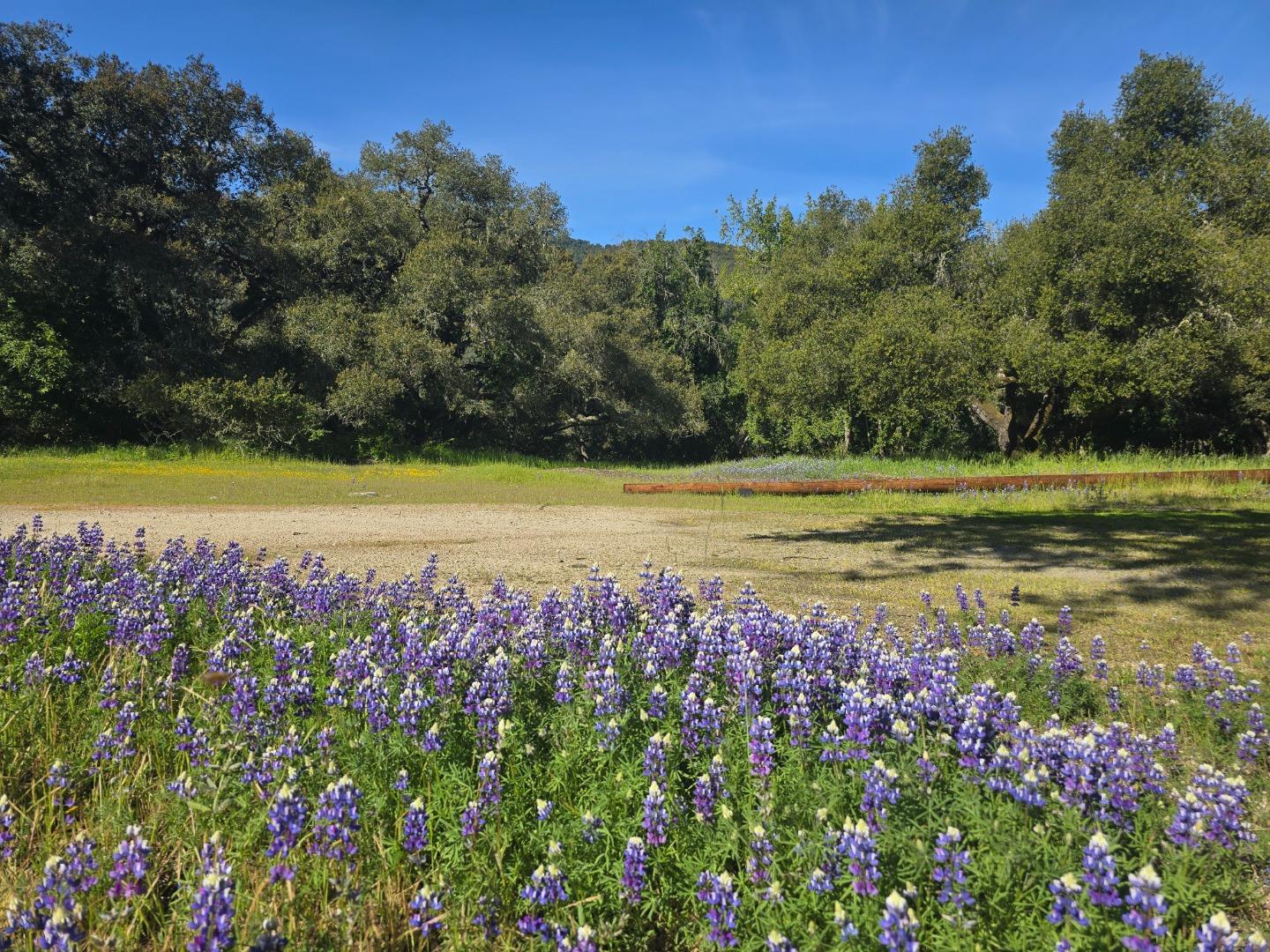 Detail Gallery Image 28 of 28 For 16 Sleepy Hollow Drive, Carmel Valley,  CA 93924 - – Beds | – Baths