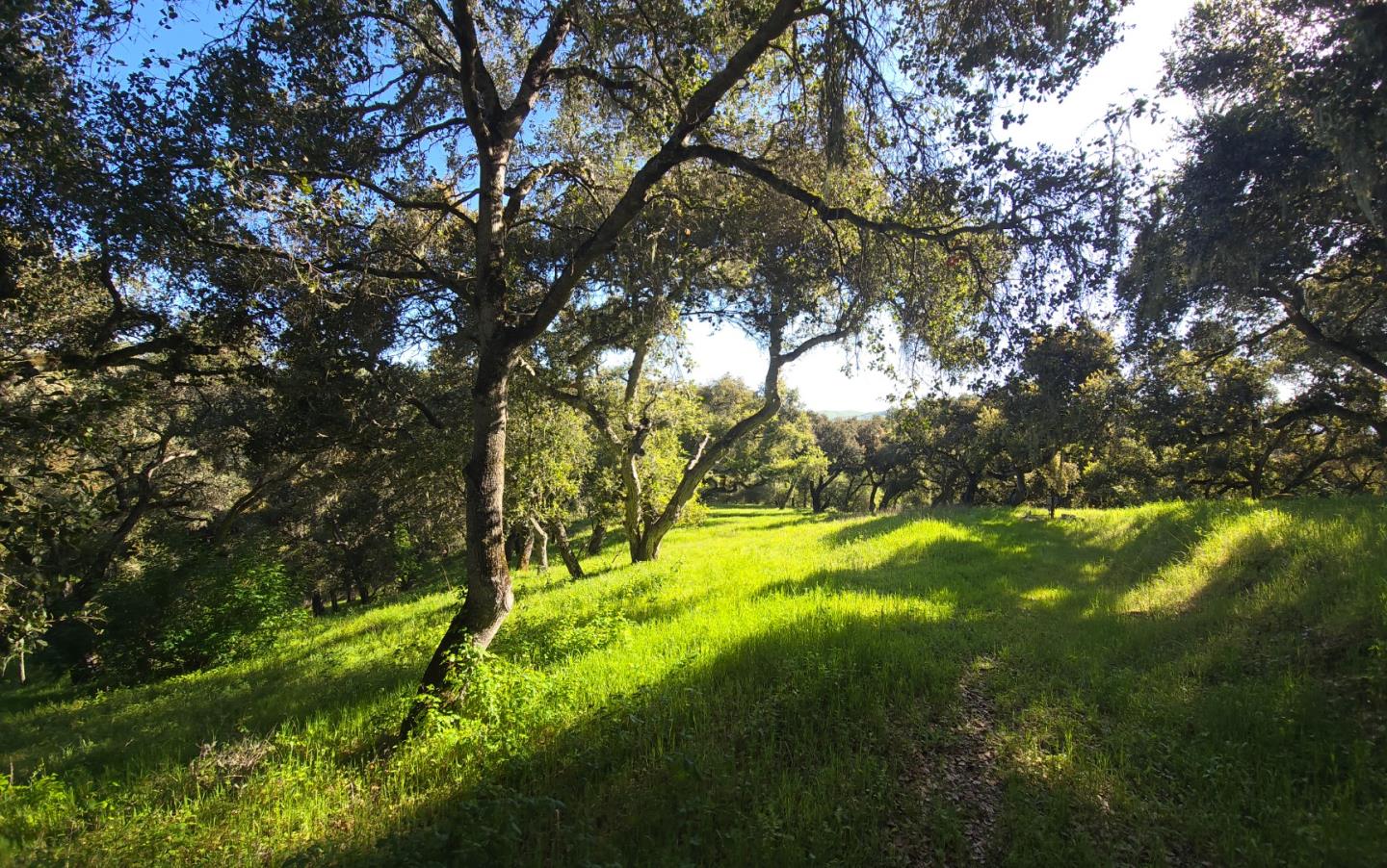 Detail Gallery Image 5 of 28 For 16 Sleepy Hollow Drive, Carmel Valley,  CA 93924 - – Beds | – Baths