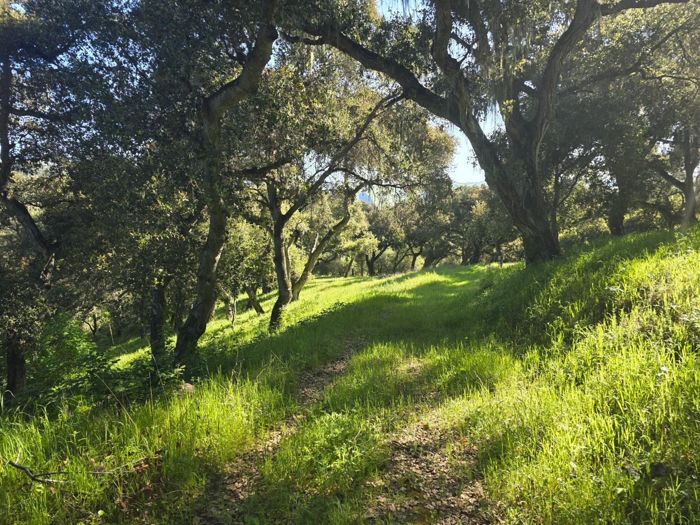 Detail Gallery Image 6 of 28 For 16 Sleepy Hollow Drive, Carmel Valley,  CA 93924 - – Beds | – Baths