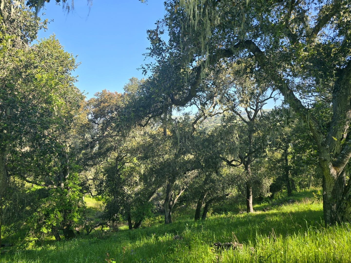 Detail Gallery Image 7 of 28 For 16 Sleepy Hollow Drive, Carmel Valley,  CA 93924 - – Beds | – Baths
