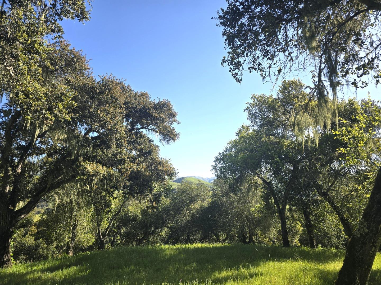 Detail Gallery Image 9 of 28 For 16 Sleepy Hollow Drive, Carmel Valley,  CA 93924 - – Beds | – Baths