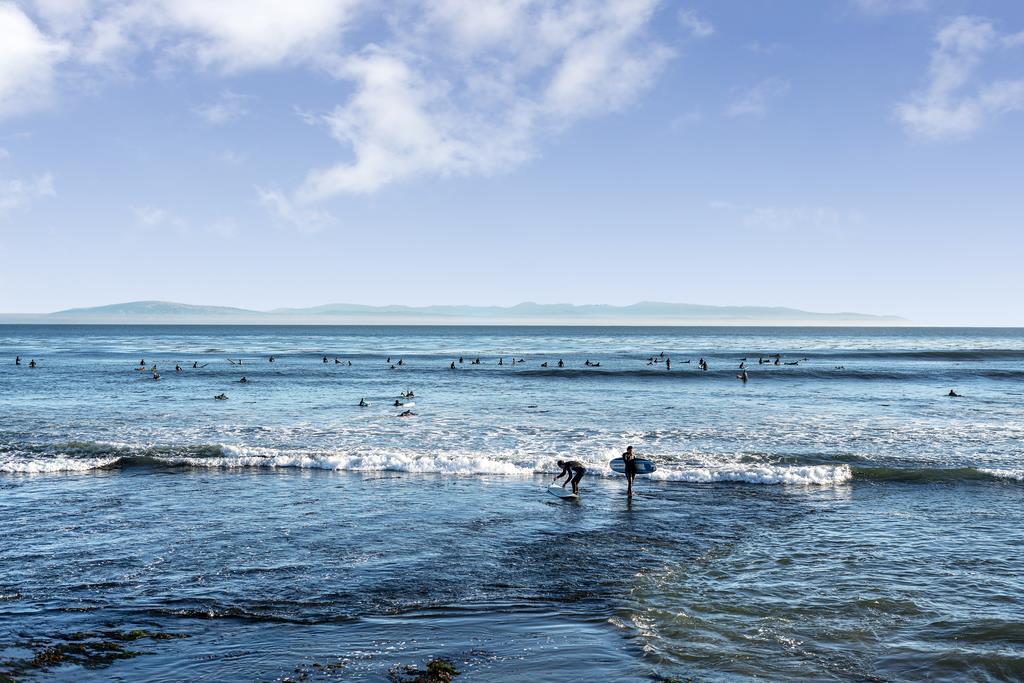 Detail Gallery Image 65 of 68 For 1021 Webster St, Santa Cruz,  CA 95062 - 3 Beds | 2/1 Baths