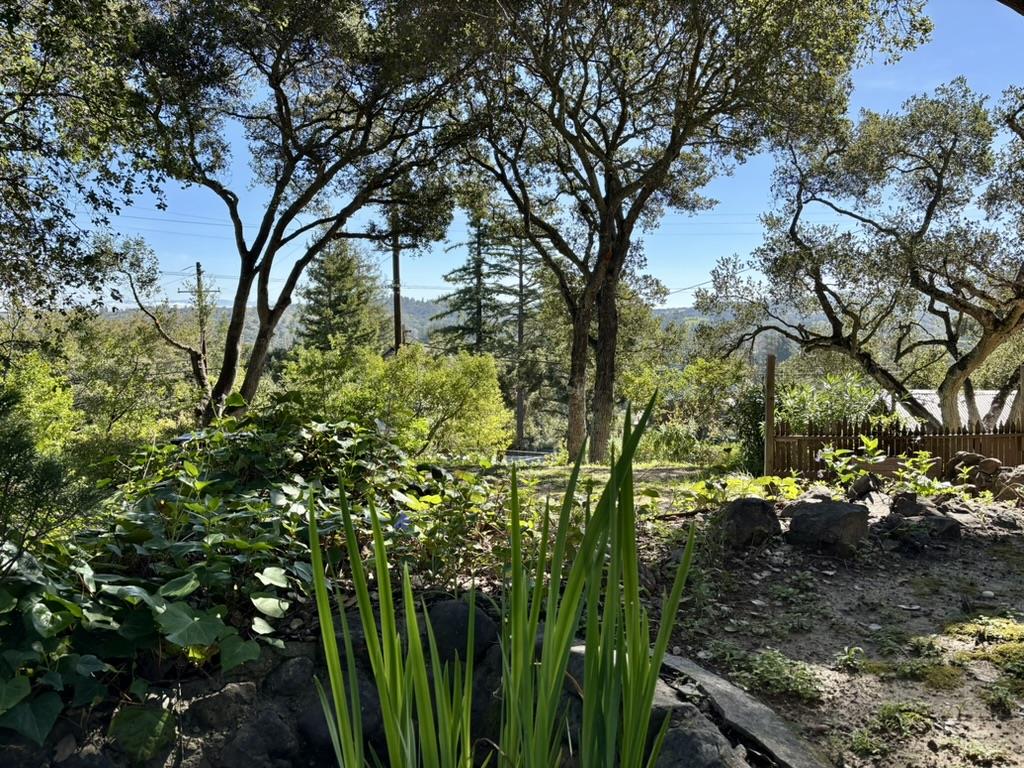 Detail Gallery Image 20 of 25 For 102 Santa Maria Ave, Portola Valley,  CA 94028 - 2 Beds | 3 Baths