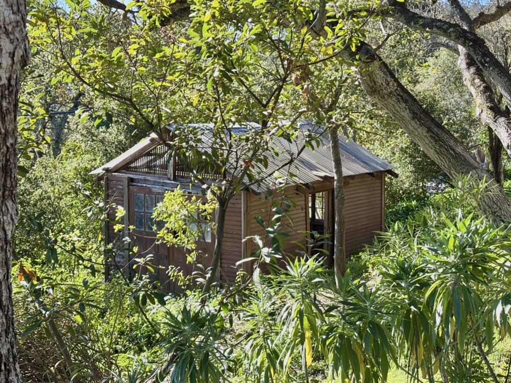 Detail Gallery Image 21 of 25 For 102 Santa Maria Ave, Portola Valley,  CA 94028 - 2 Beds | 3 Baths