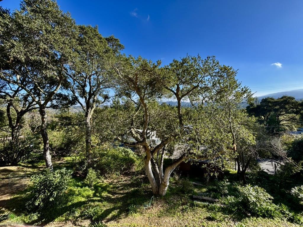 Detail Gallery Image 22 of 25 For 102 Santa Maria Ave, Portola Valley,  CA 94028 - 2 Beds | 3 Baths