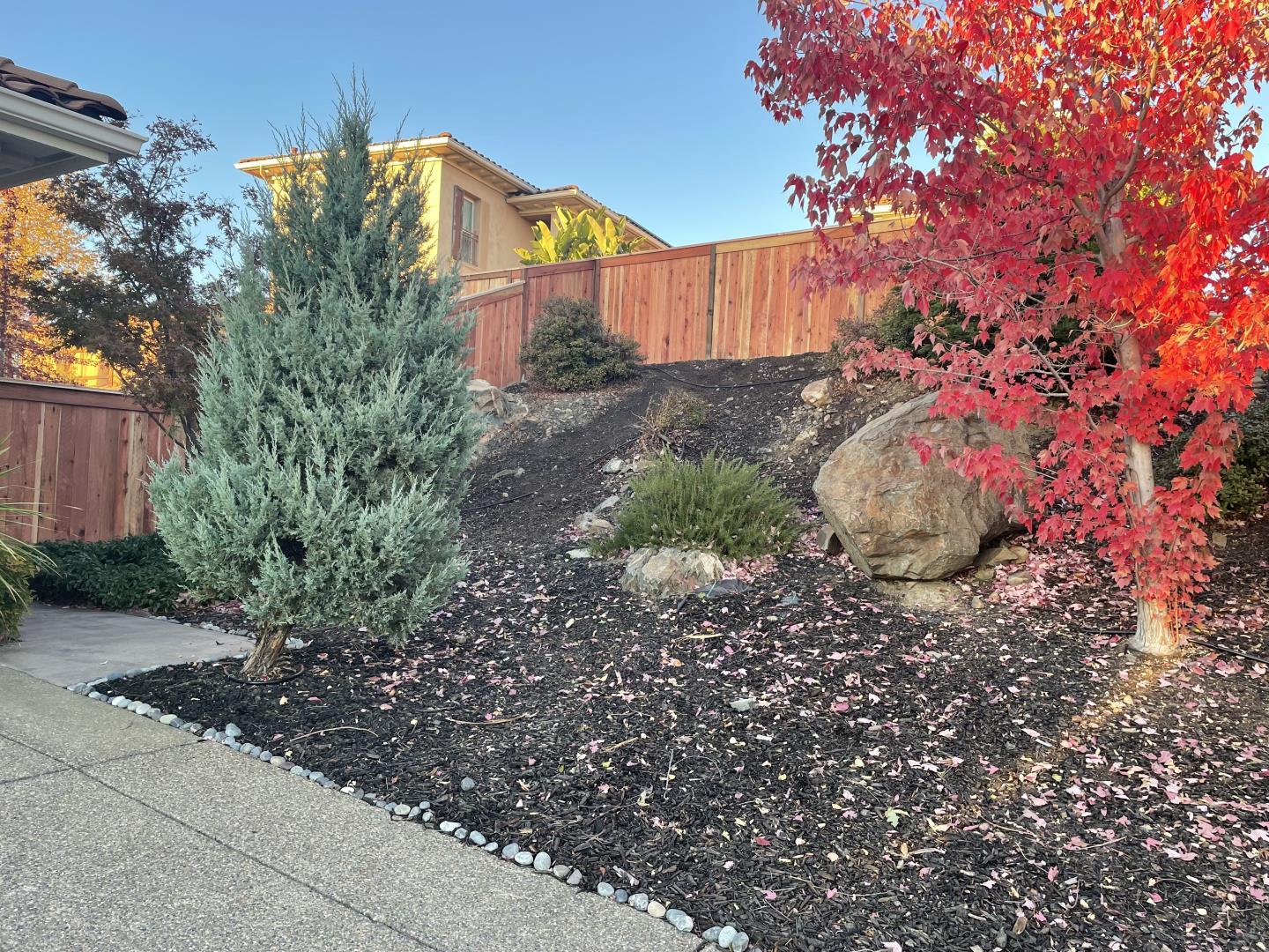 Detail Gallery Image 15 of 60 For 5100 Thalia Dr, El Dorado Hills,  CA 95762 - 5 Beds | 4 Baths