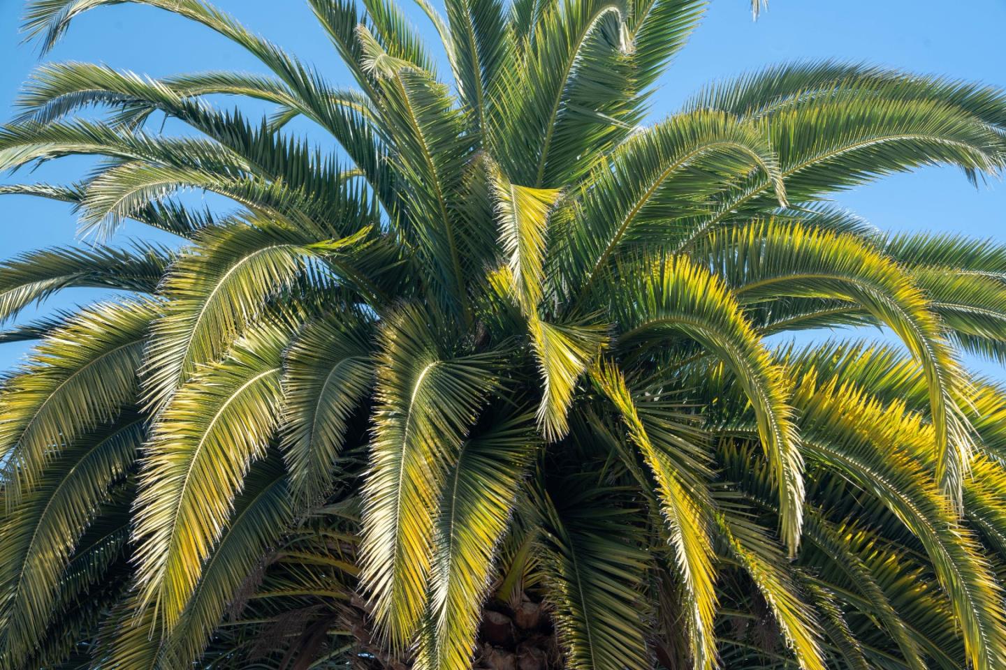 Detail Gallery Image 53 of 82 For 711 Darwin St, Santa Cruz,  CA 95062 - 2 Beds | 2 Baths