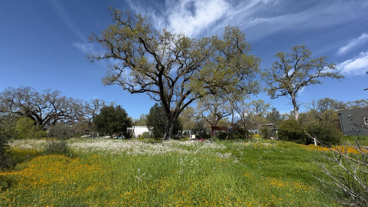 Detail Gallery Image 16 of 73 For Address Not Disclosed,  Glen Ellen,  CA 95442 - 2 Beds | 2 Baths
