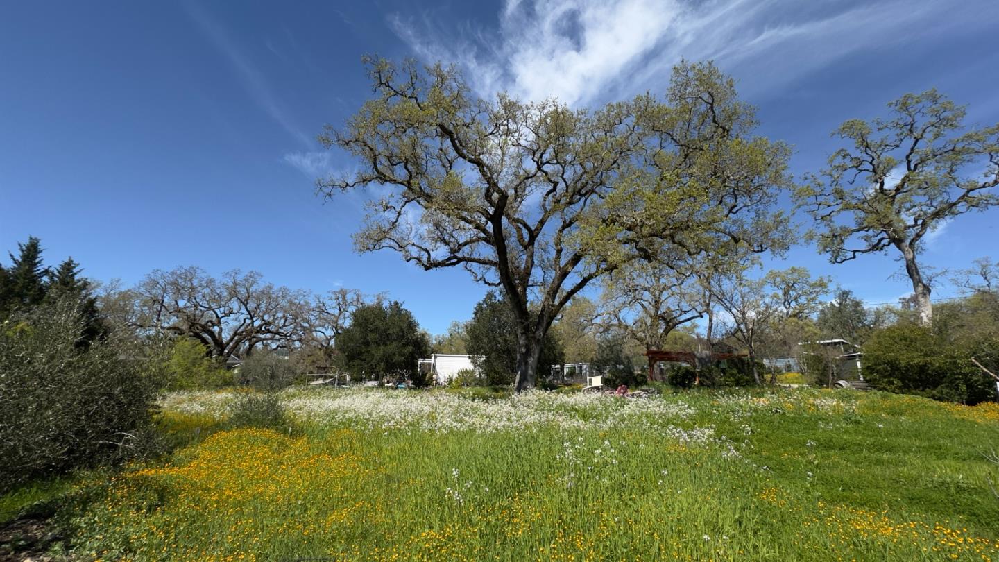 Detail Gallery Image 29 of 73 For Address Not Disclosed,  Glen Ellen,  CA 95442 - 2 Beds | 2 Baths