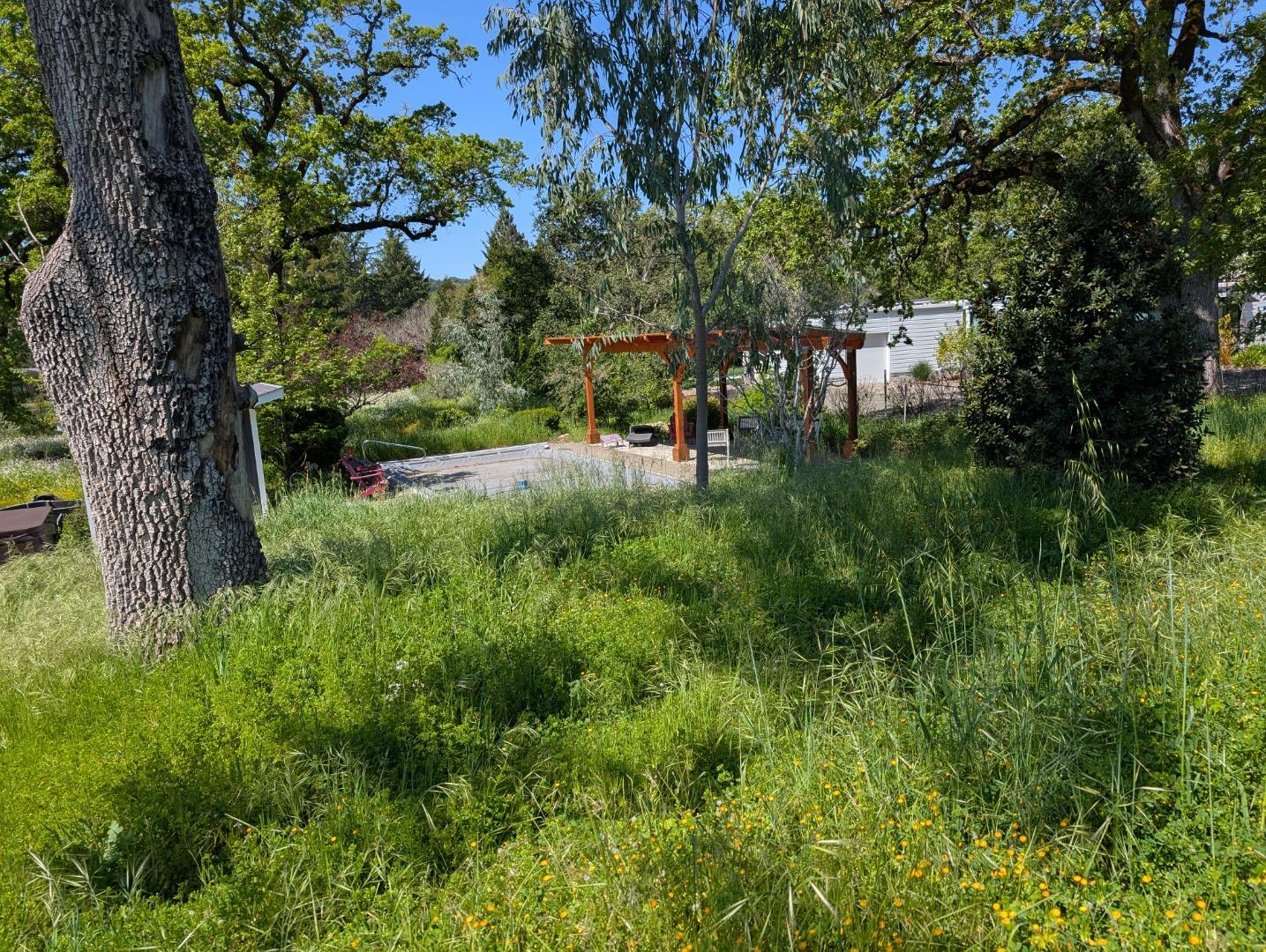 Detail Gallery Image 62 of 73 For Address Not Disclosed,  Glen Ellen,  CA 95442 - 2 Beds | 2 Baths