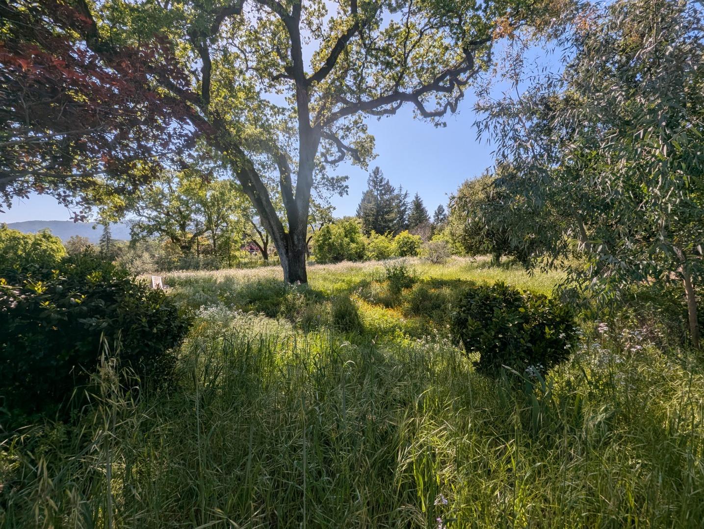 Detail Gallery Image 68 of 73 For Address Not Disclosed,  Glen Ellen,  CA 95442 - 2 Beds | 2 Baths