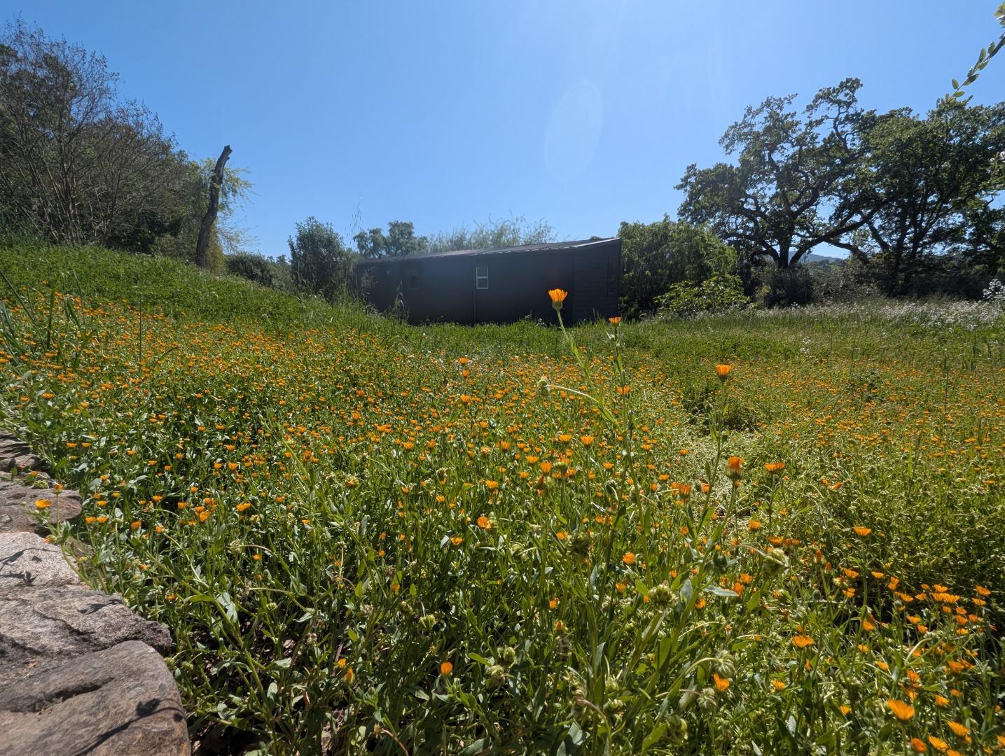 Detail Gallery Image 70 of 73 For Address Not Disclosed,  Glen Ellen,  CA 95442 - 2 Beds | 2 Baths