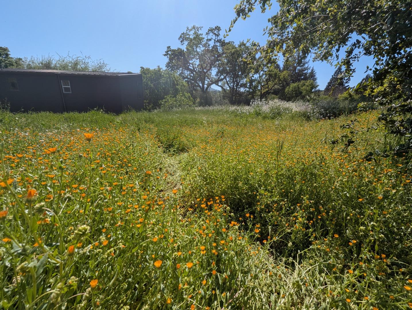 Detail Gallery Image 71 of 73 For Address Not Disclosed,  Glen Ellen,  CA 95442 - 2 Beds | 2 Baths
